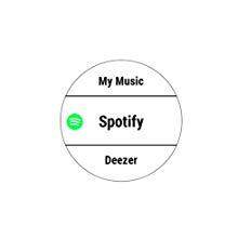 Forerunner 245 Music